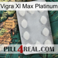 Vigra Xl Max Platinum 16